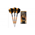 Lotki Rzutki Target Raymond Van Barneveld 80% Tungsten Dart - 24g  2123 - lotki_rzutki_tungsten_dart_-_24g__7502123.jpg