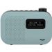 Bush Mono DAB Radio - Mint  8710